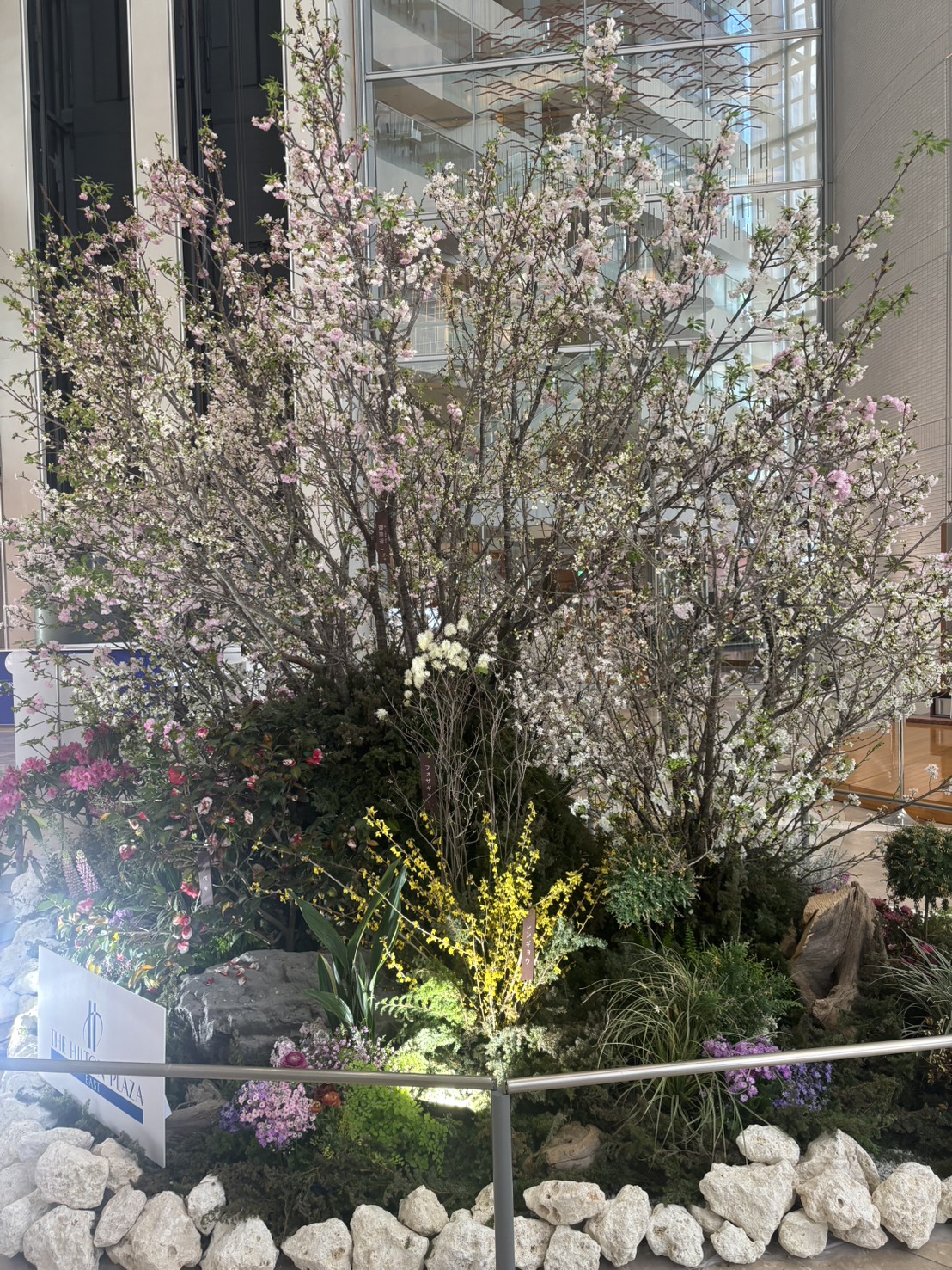 3月も沢山のご来店ありがとうございました(梅田/西梅田/北新地)